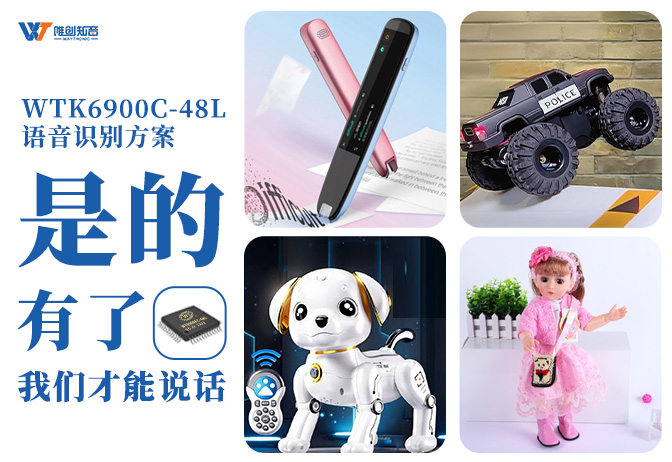 WTK6900C-48L：離線語(yǔ)音芯片重構(gòu)玩具DNA，從“按鍵操控”到“聲控陪伴”的交互躍